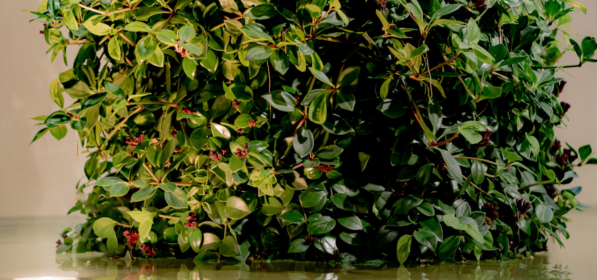 Gartenhof Ksters - Carolus Thermen