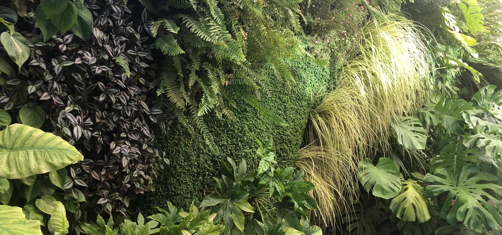 Gartenhof Ksters - Indoor-Wandbegrnungen