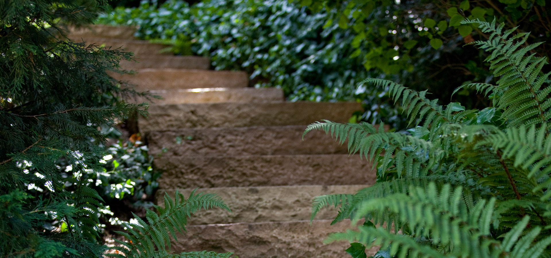 Gartenhof Ksters - Privatgarten Wuppertal