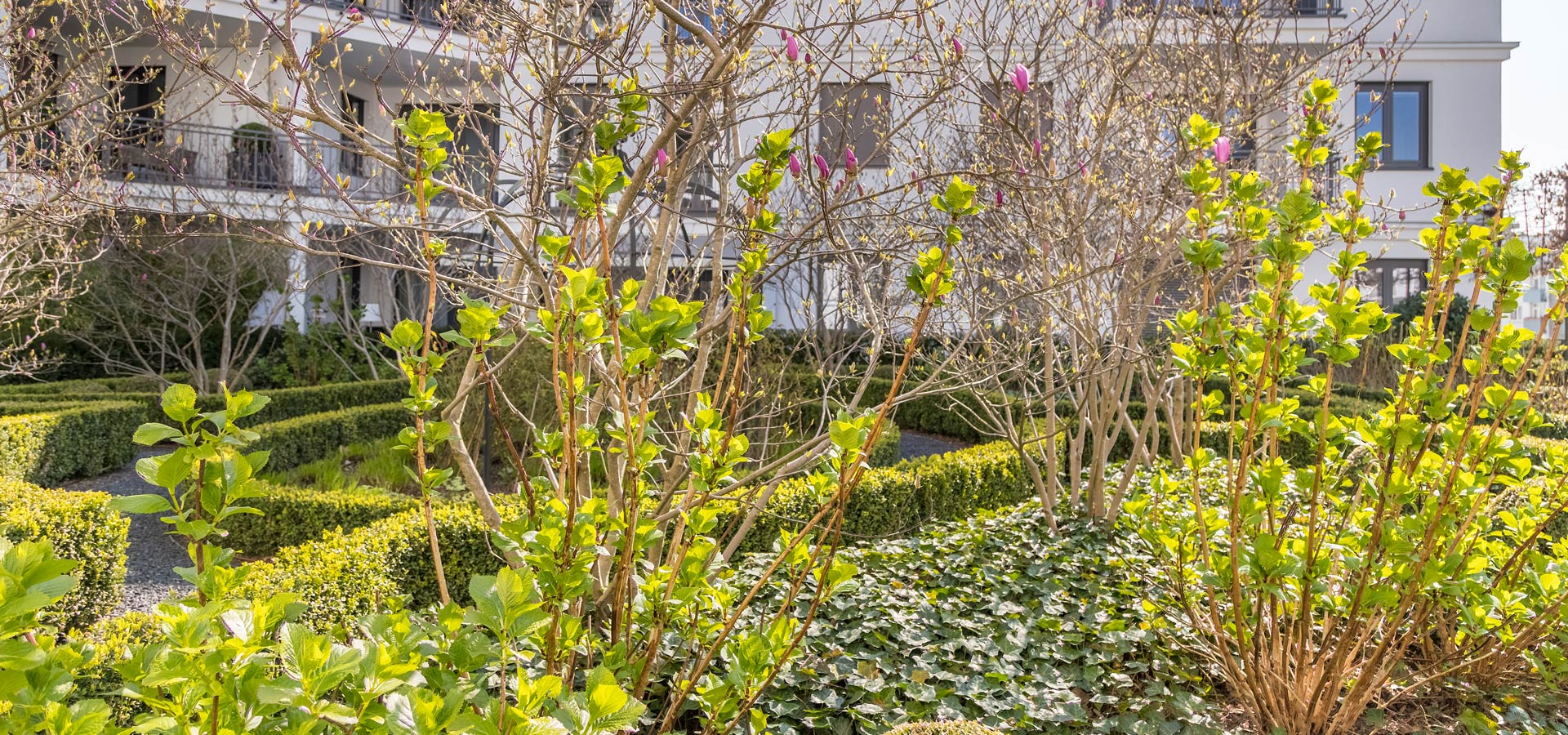 Gartenhof Ksters - Dsseldorf Magnoliengarten